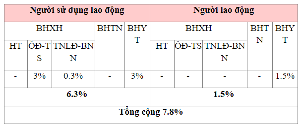 tỷ lệ trích nộp BHXH đối với người lao động nước ngoài năm 2021 - ảnh 1